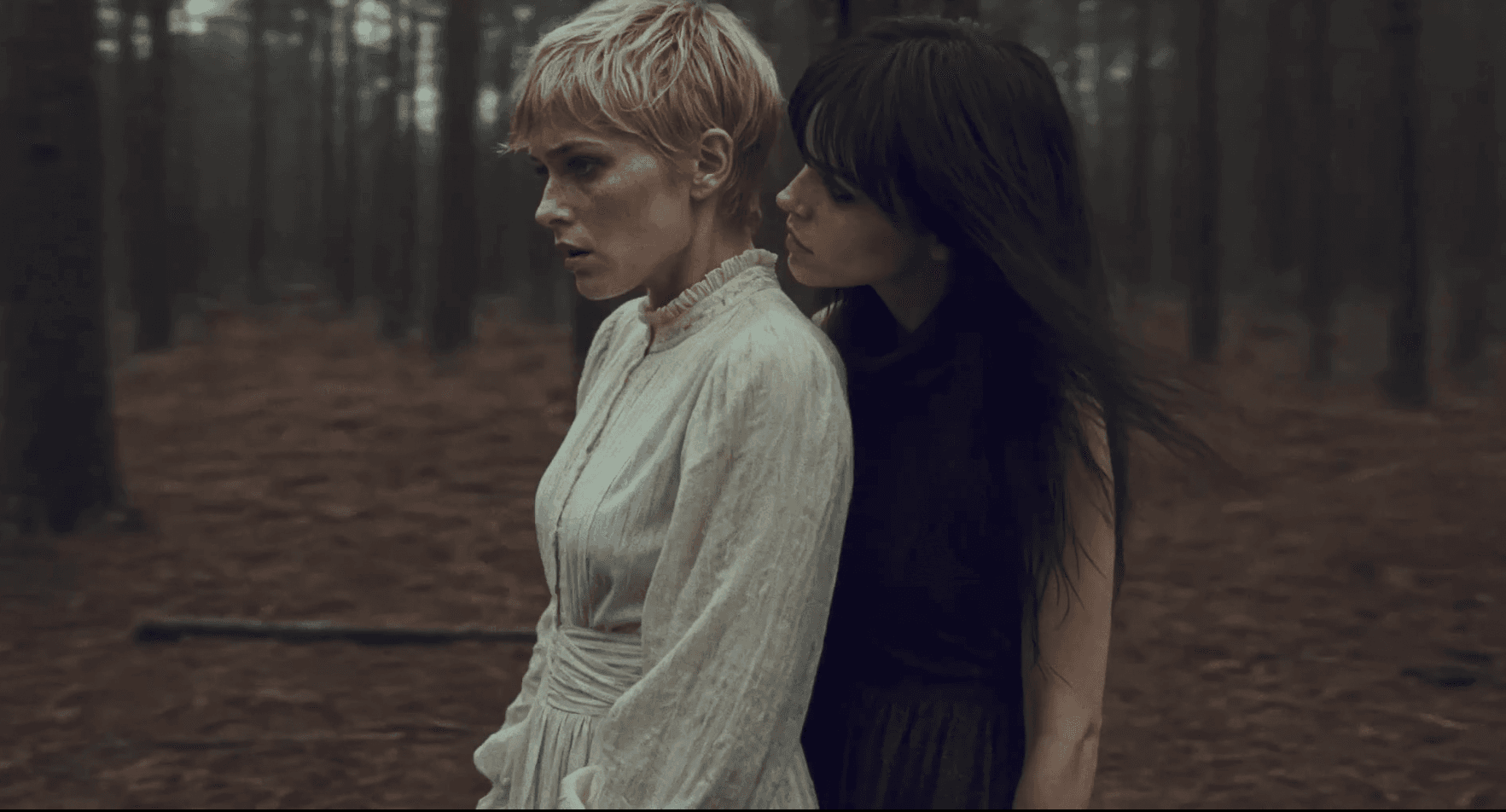Old Cabin Tale â It Follows