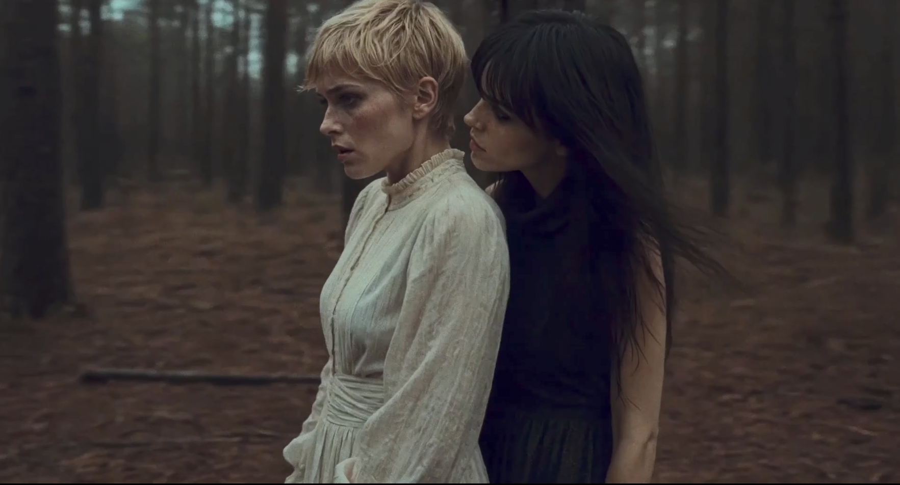 Old Cabin Tale — It Follows